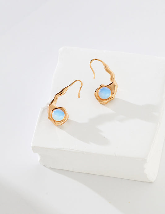 Silent Duality Earrings